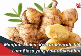 Manfaat Makan Jangkrik Mentah